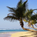 Renting Villas in Punta Cana